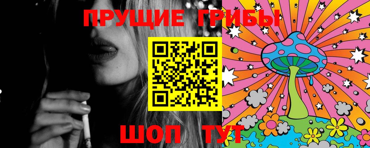 Псилоцибиновые грибы Psilocybe Мурманск