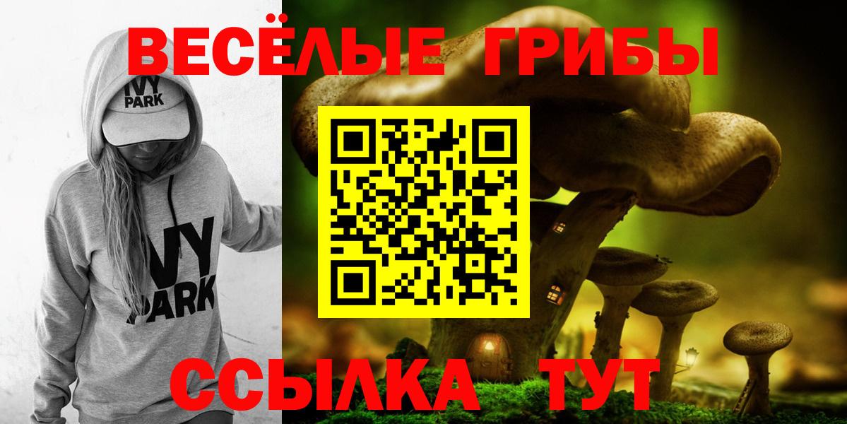 Мурманск  Галлюциногенные грибы Psilocybe  Вход с VPN 